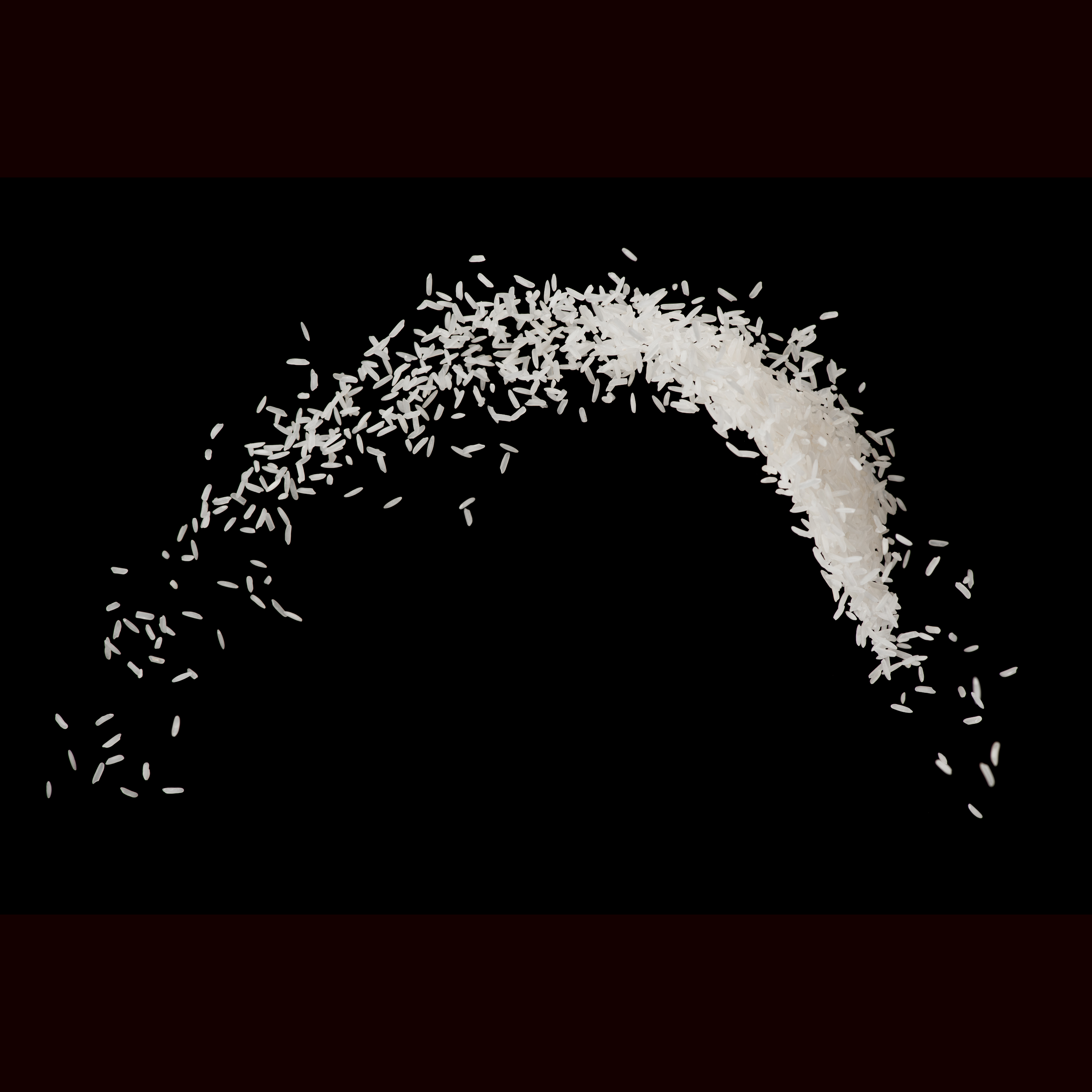Rice's Whale