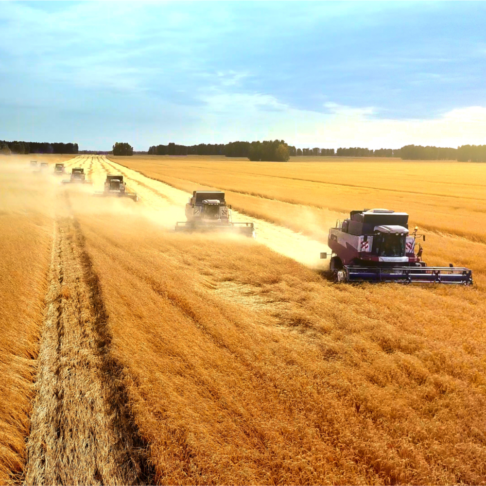 RaboResearch Agri Commodities