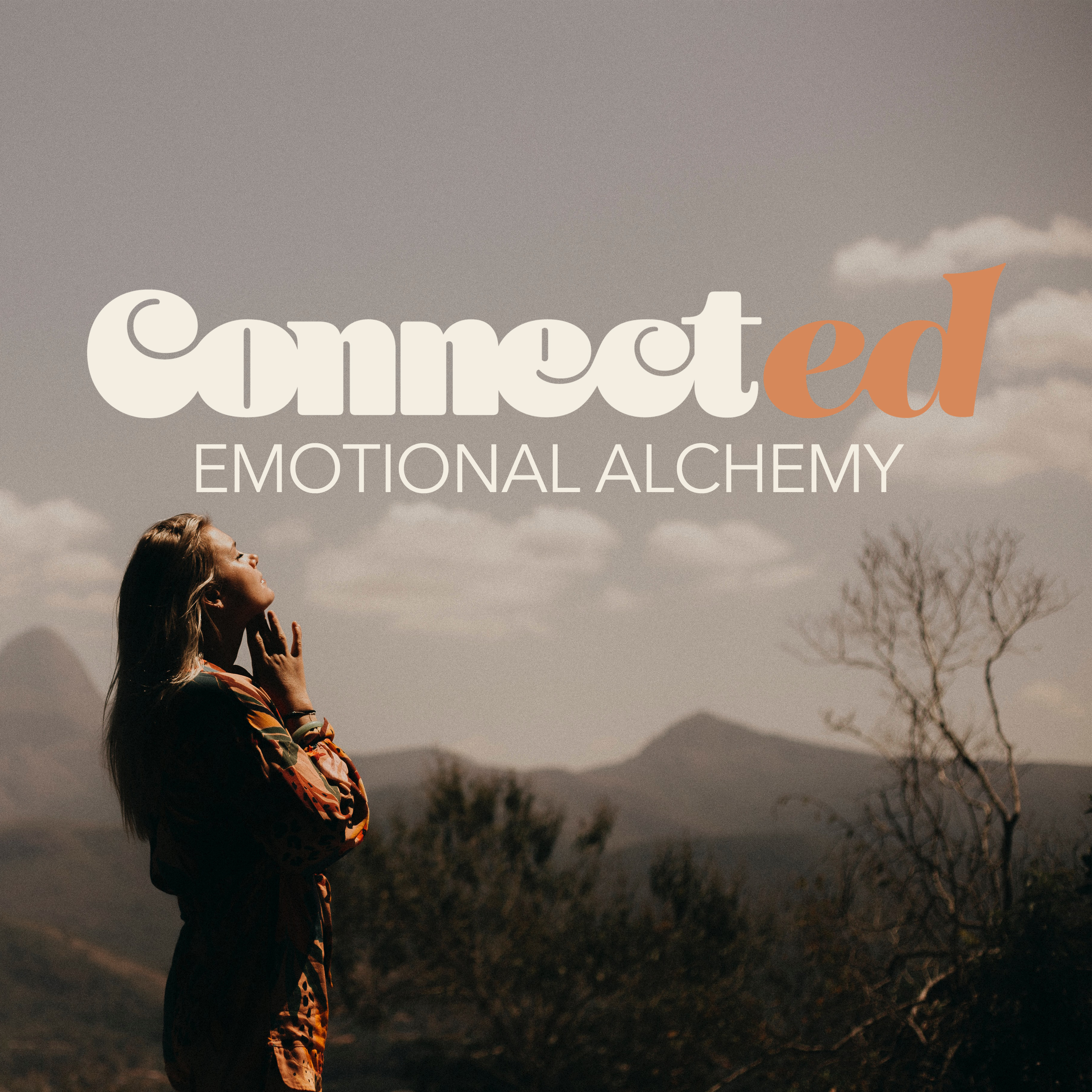Connected with Kimberly Dam