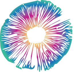 Ep. 32 Kyle Buller and Joe Moore: Expanding Consciousness