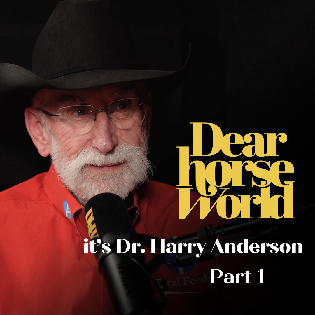 Horse Nutrition Explained: How Digestion Shapes Behaviour with Dr. Harry Anderson Part 1 Horse Nutrition Explained: How Digestion Shapes Behaviour with Dr. Harry Anderson Part 1