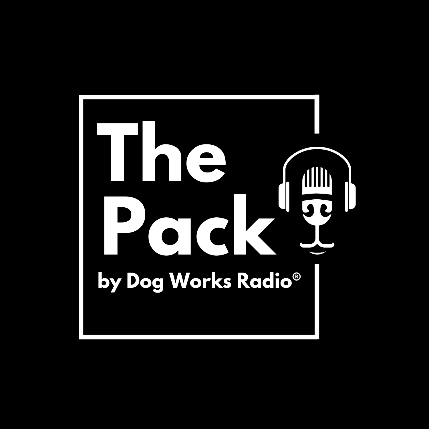 The Pack: A Deeper Dive Into Our 3 Reasons Husbands Won't Like Our Dog Training