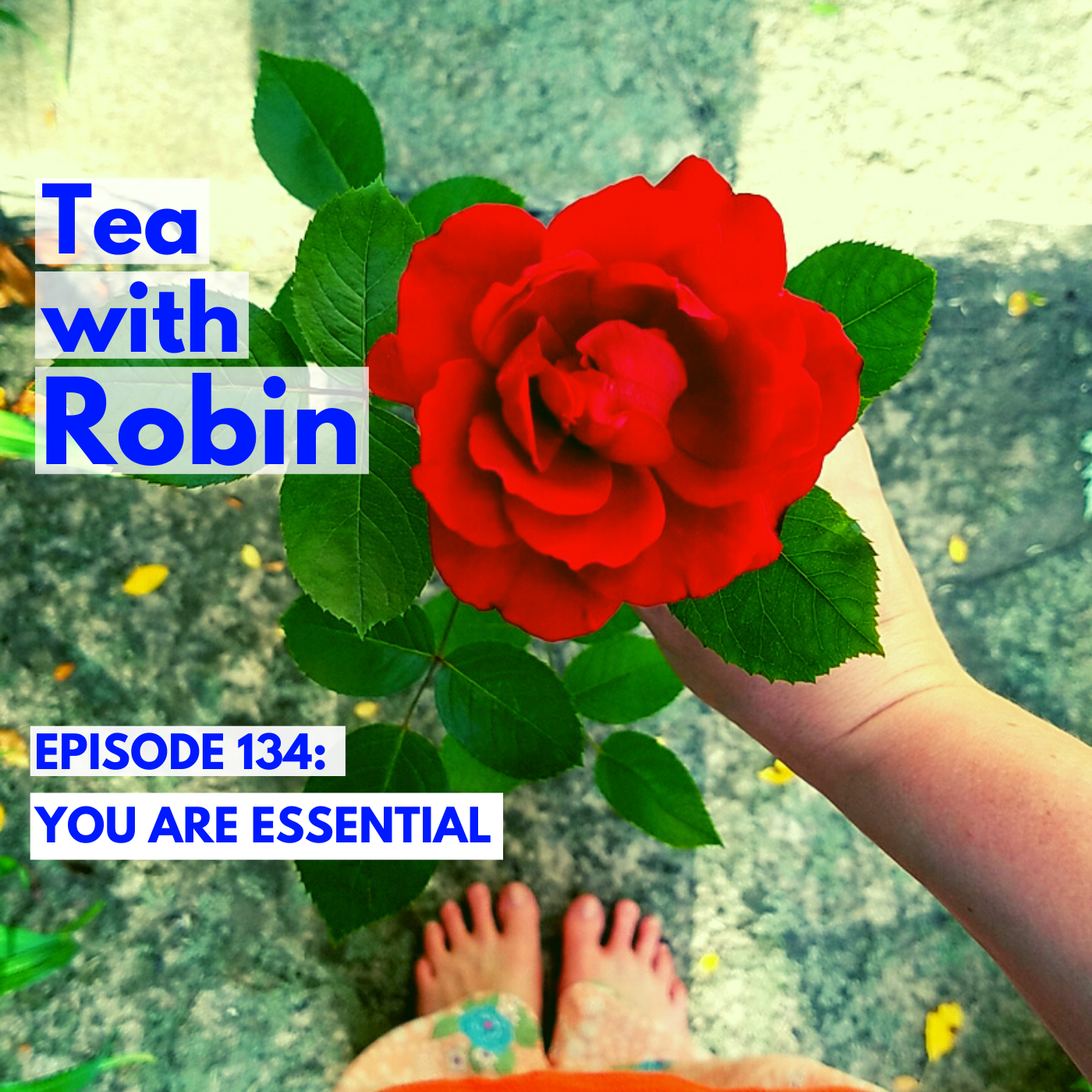 Tea with Robin