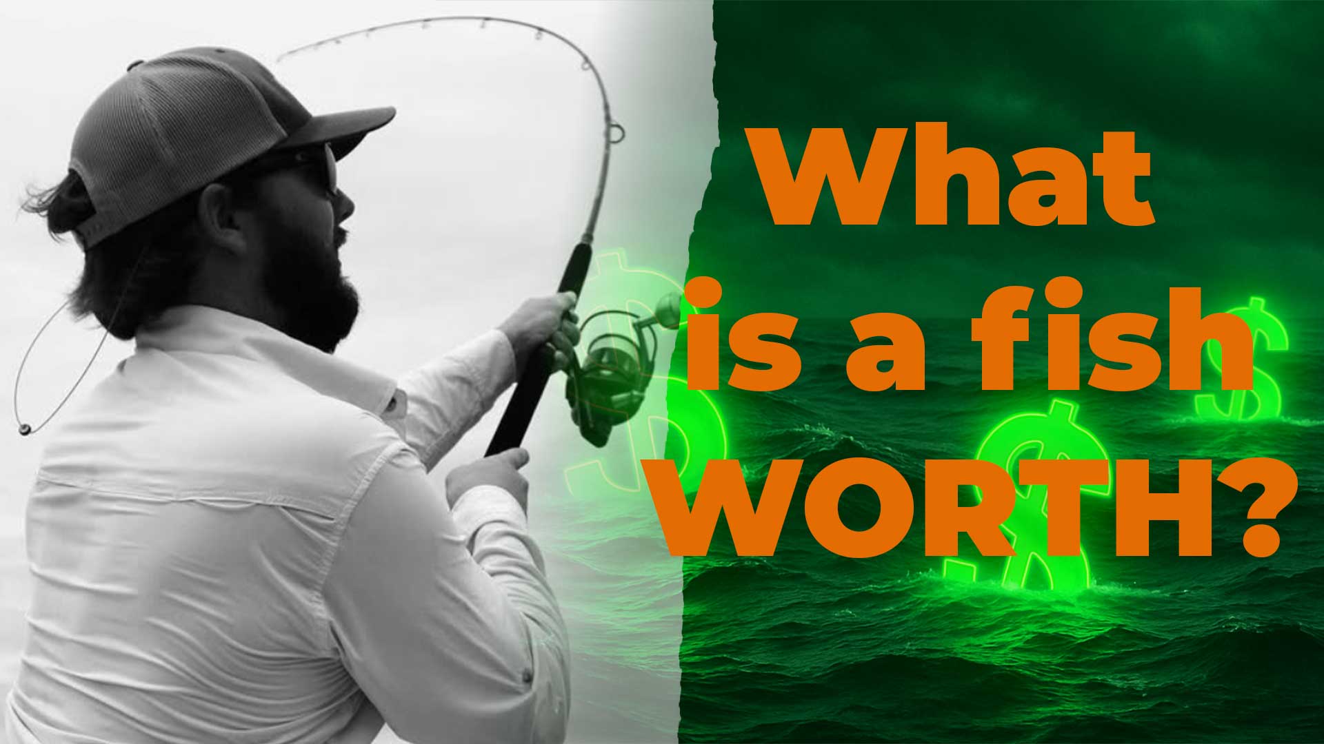 The True Value of a Fish: Economics of Recreational Fishing with Dr. Ben Meadows