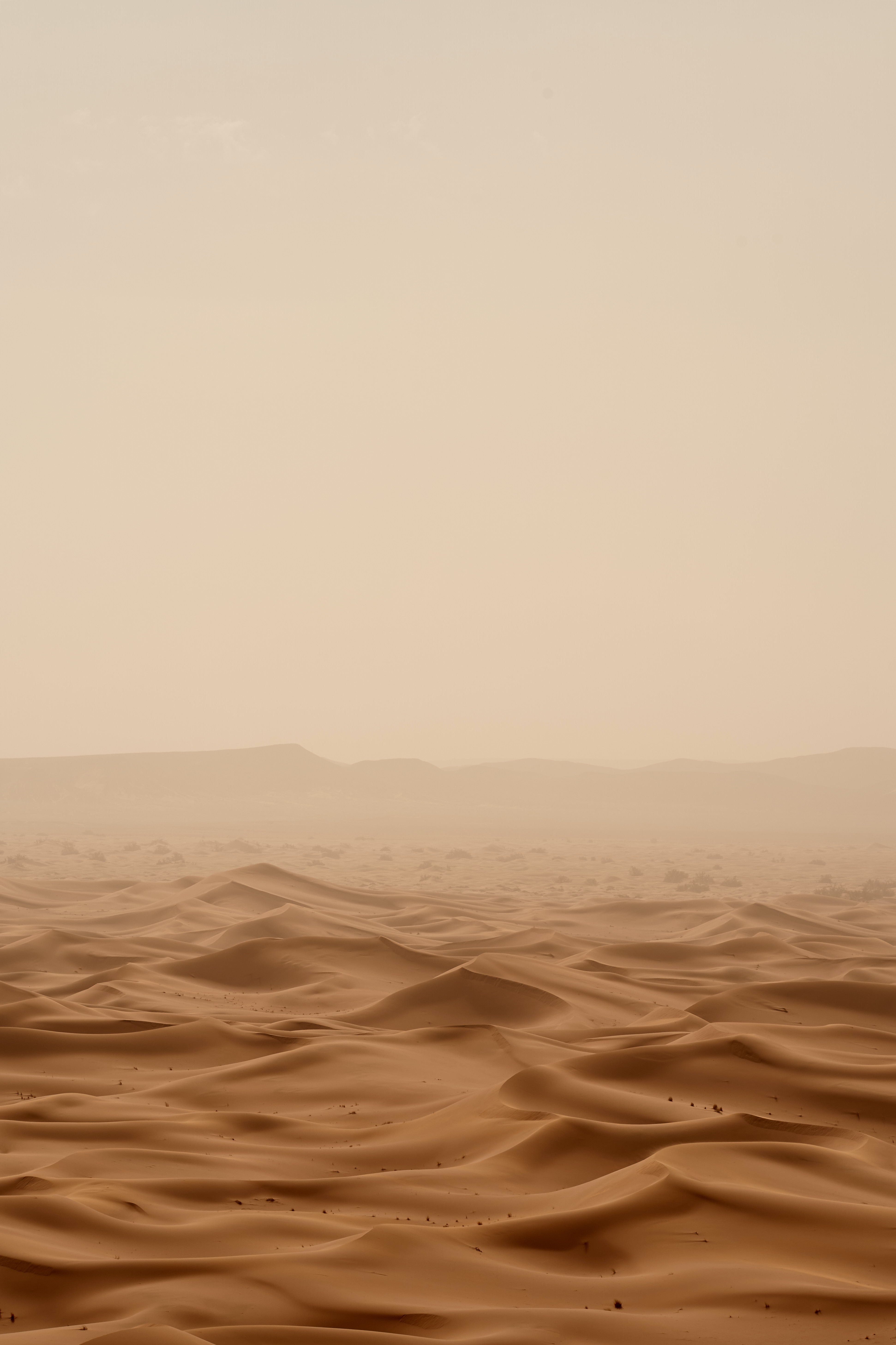 Four Years in the Desert?