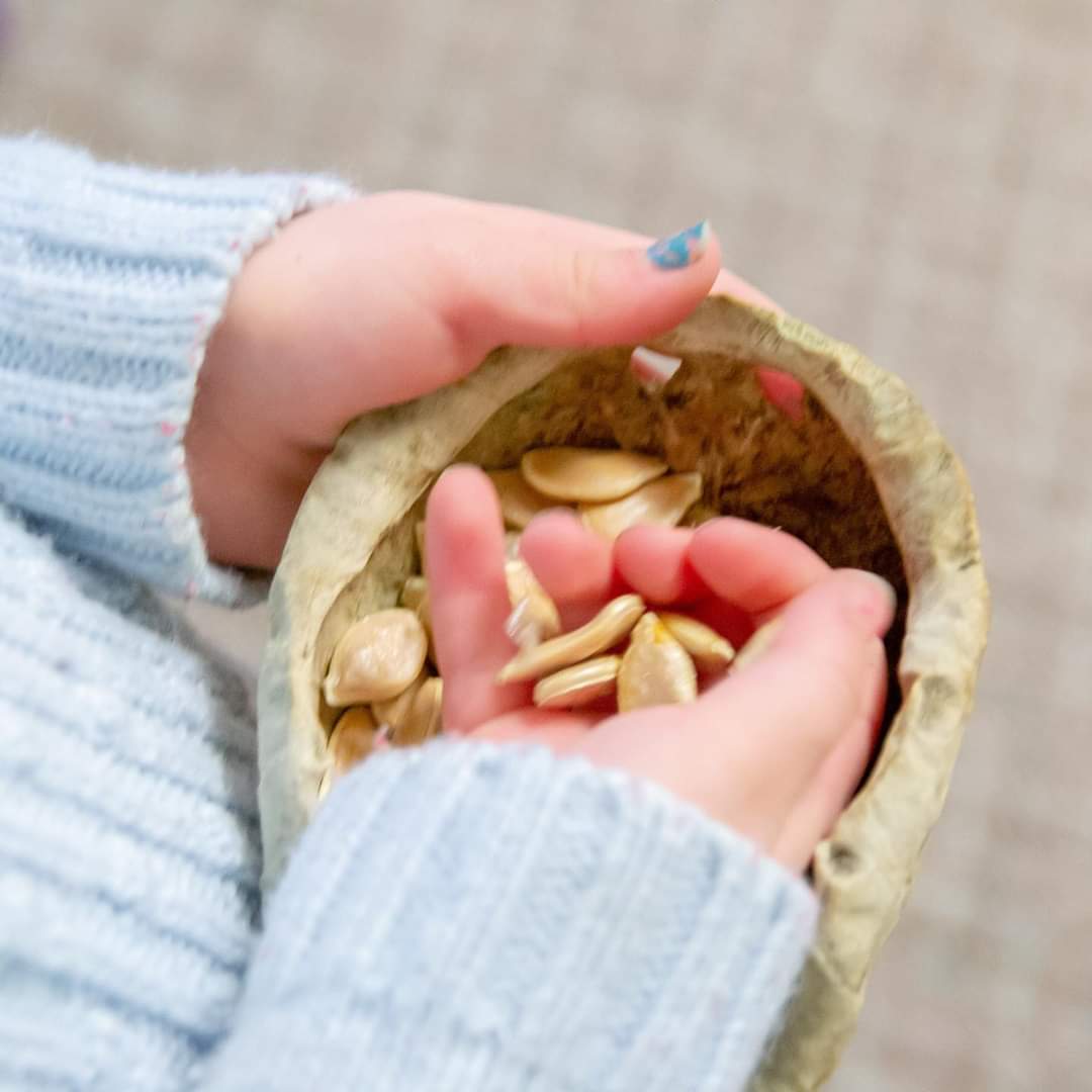 Audio Article: Culturally Significant Seed Saving