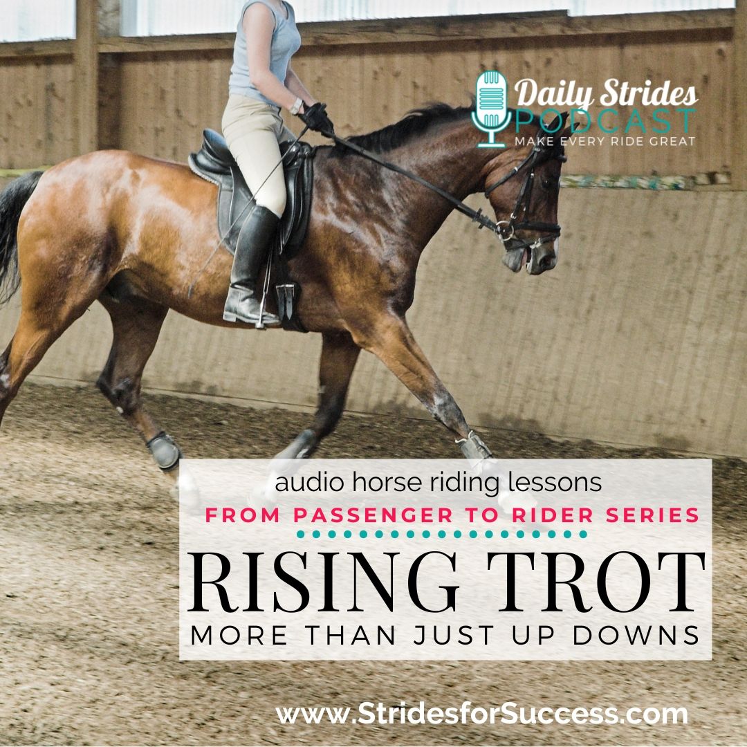 Rising Trot - Learning How to Post a 'Better' Way & Getting Past the Up Downs