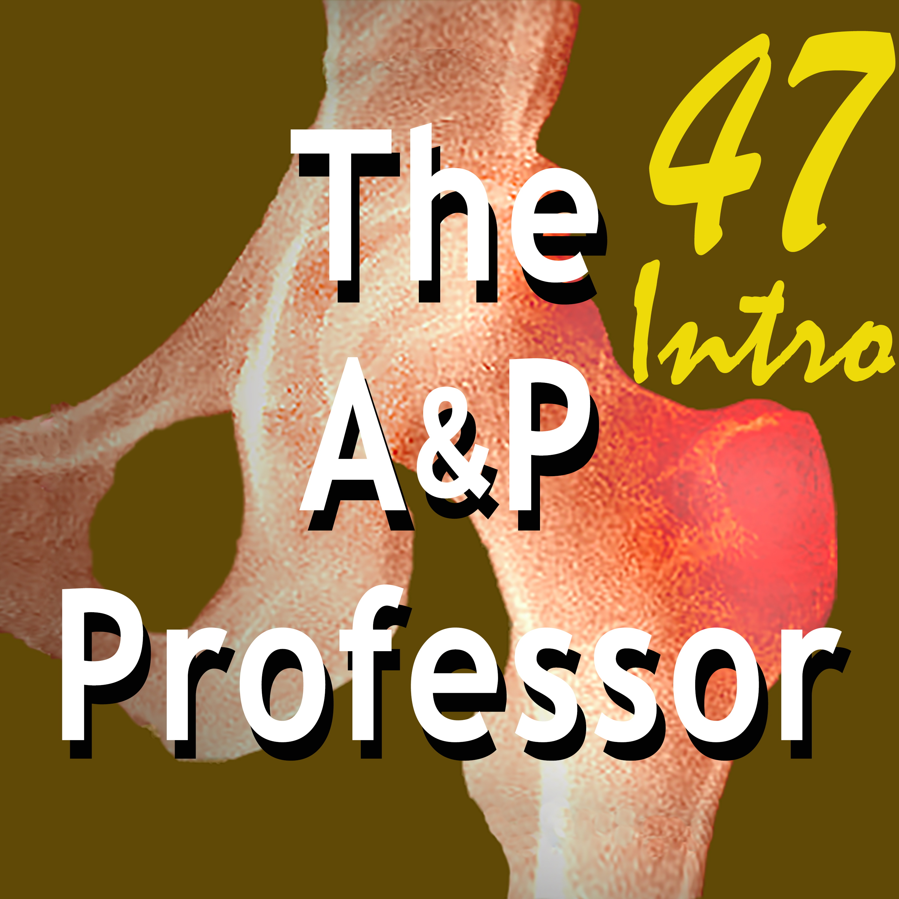 The A&P Professor