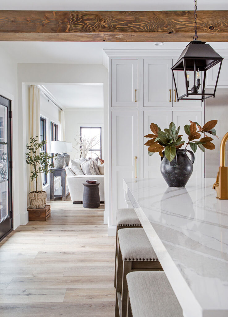 Ep. 164 HOW and WHAT to Purge Ep. 164 HOW and WHAT to Purge