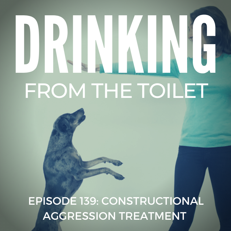 #139: Constructional Aggression Treatment