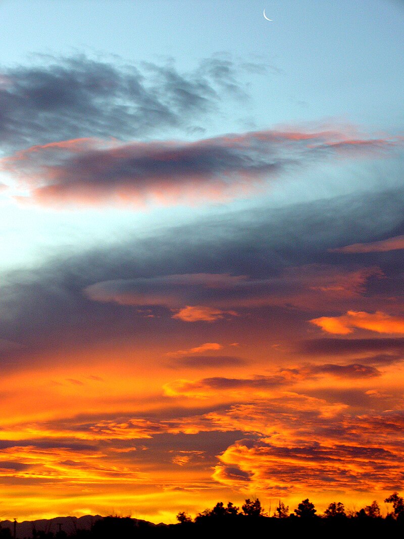 Sky Songs