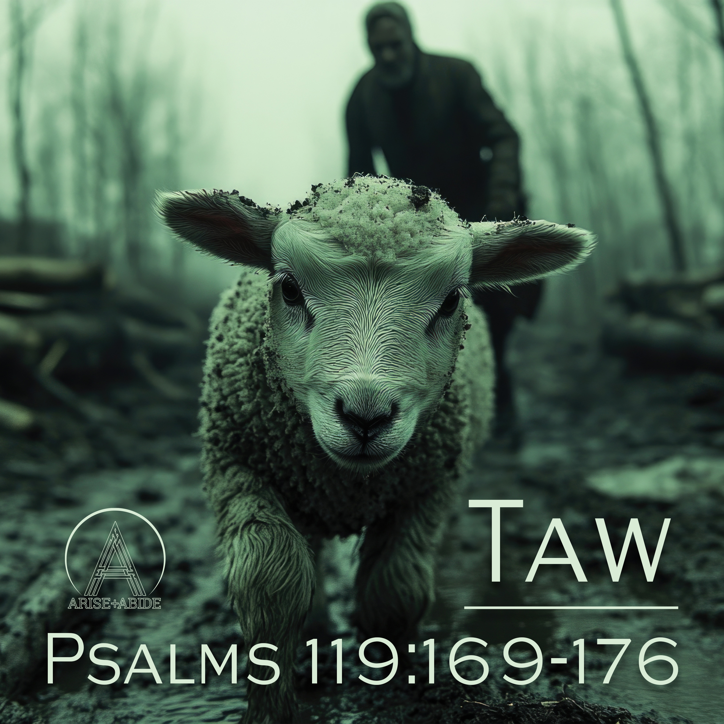 Arise and Abide