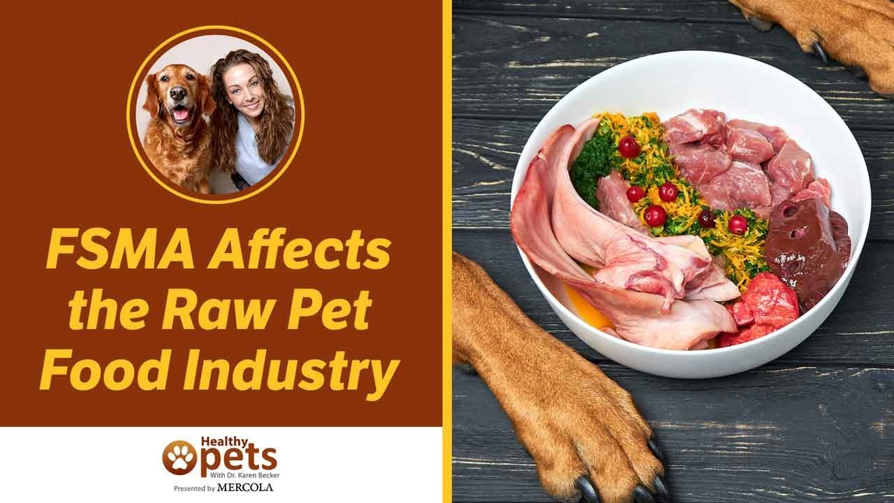 Dr. Becker Discusses How FSMA Affects the Raw Pet Food Industry