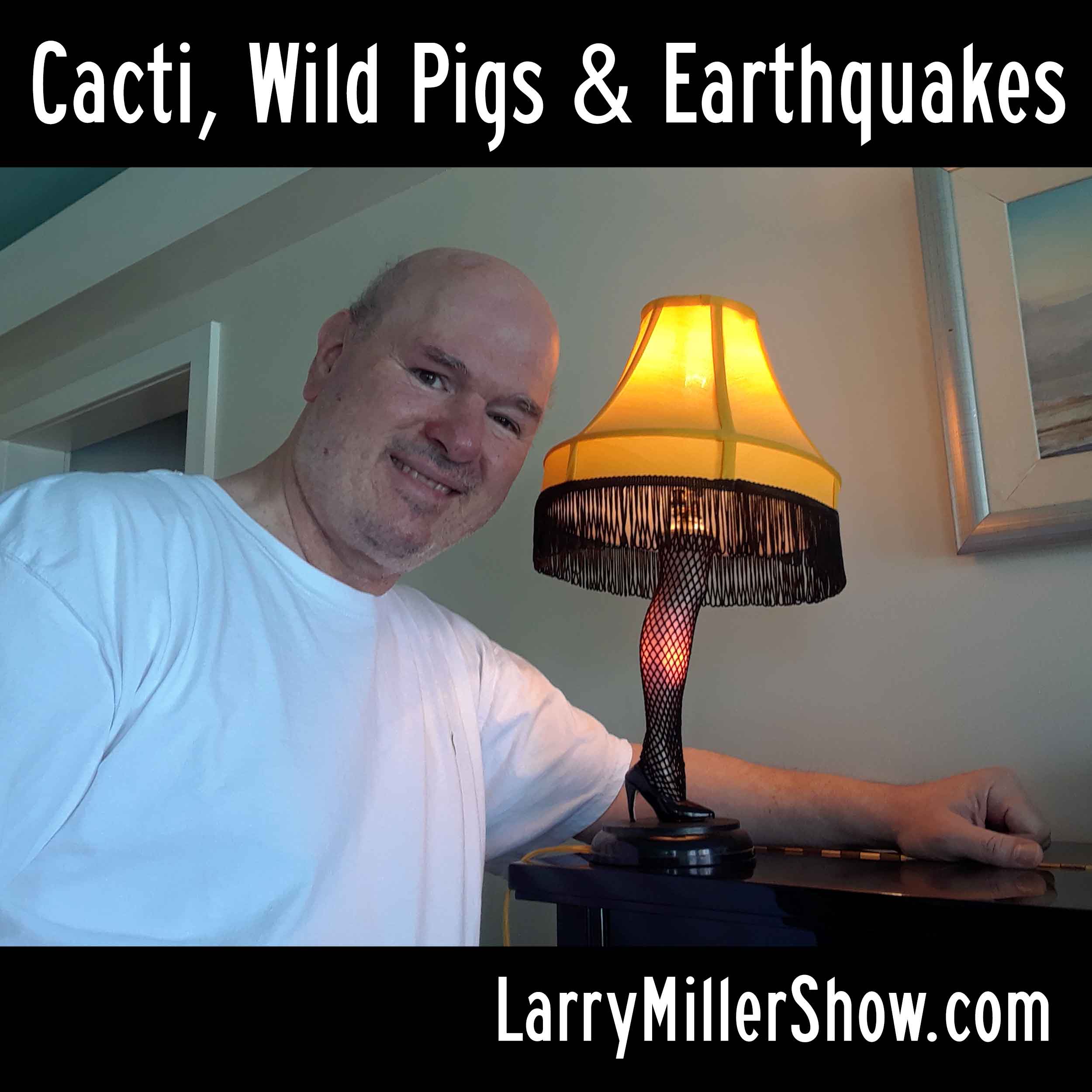 Larry Miller Show