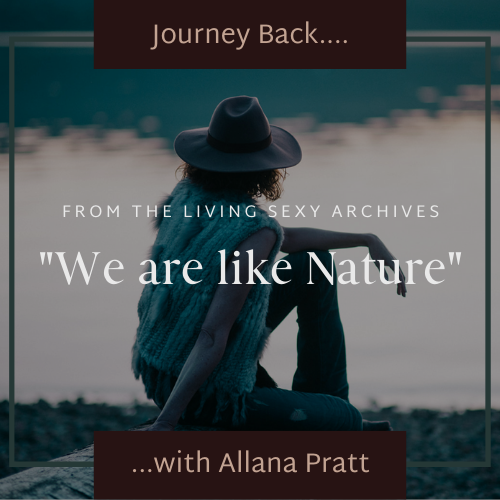 Journey Back | We are like Nature