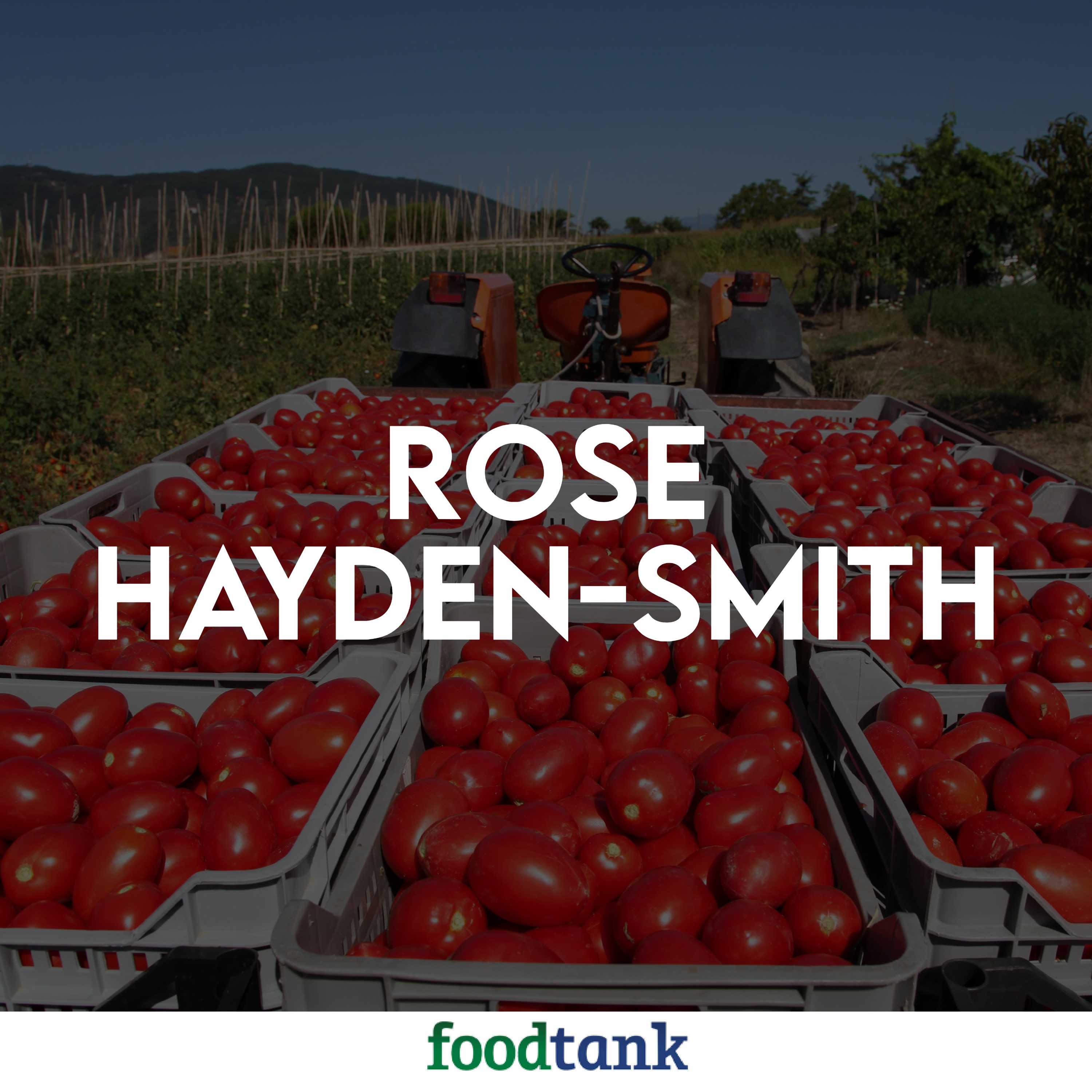 Food Talk with Dani Nierenberg (by Food Tank)