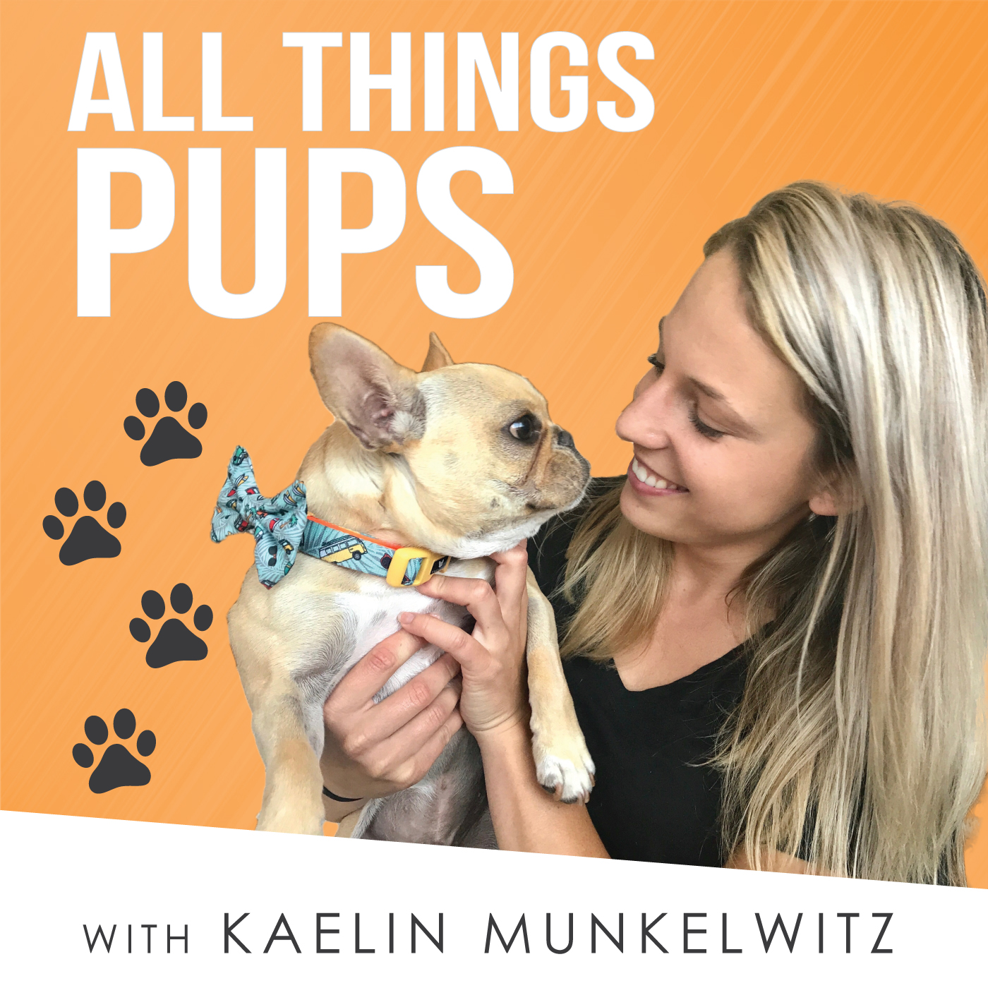 What You Need Before Bringing Your Puppy Home