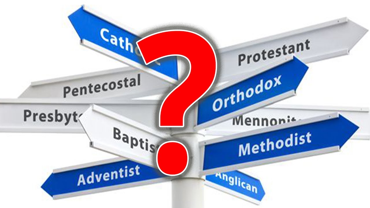 Why Do We Have Denominations? + Funniest line in the Bible? #246 Part 1