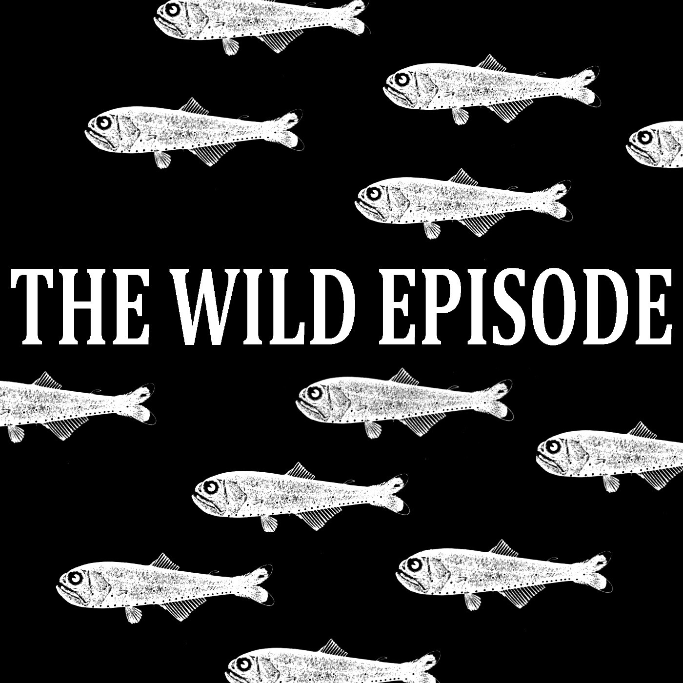 The Wild Episode