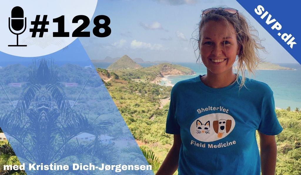 Succes I Veterinær Praksis Podcast - Sammen om at blive bedre