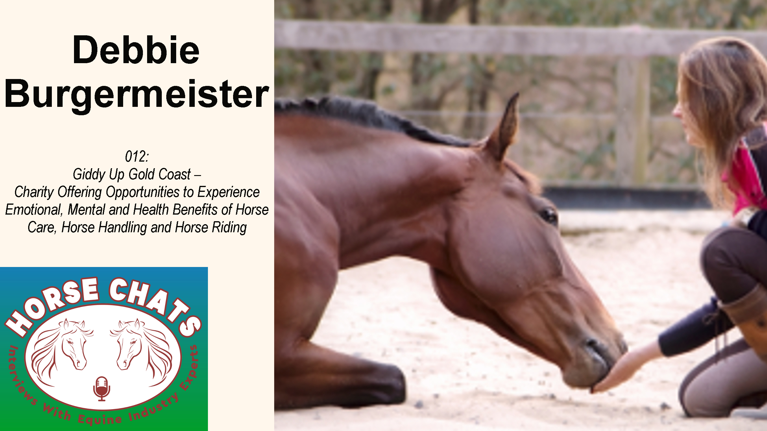Horse Chats