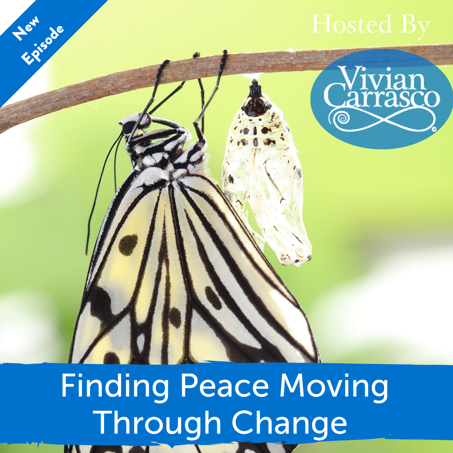 Within with Dr. Vivian Carrasco