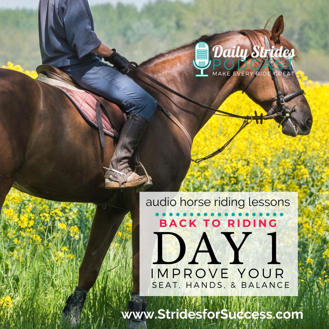 Back to Riding? Improve Your Seat, Hands & Balance on Day 1