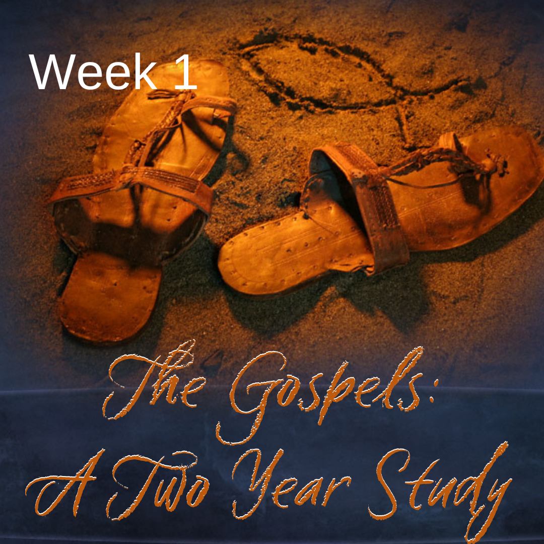Two Year Gospel Study Week 1
