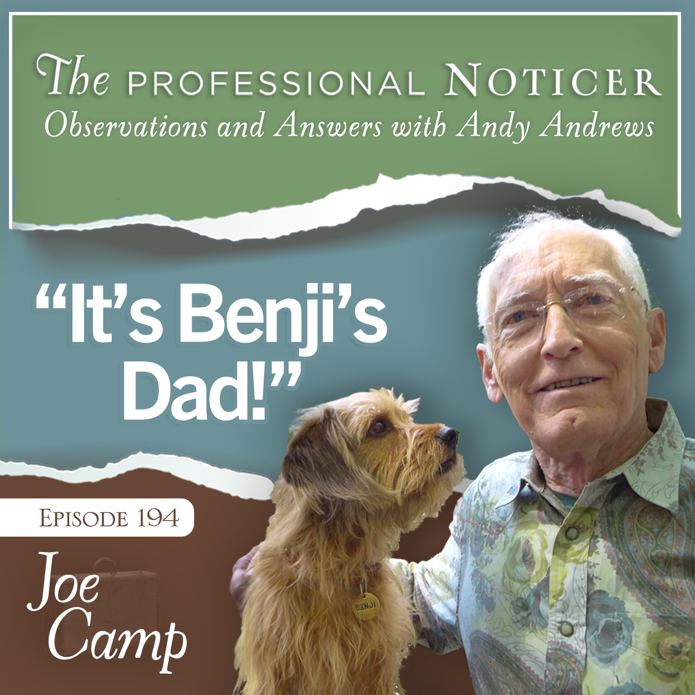 The Professional Noticer