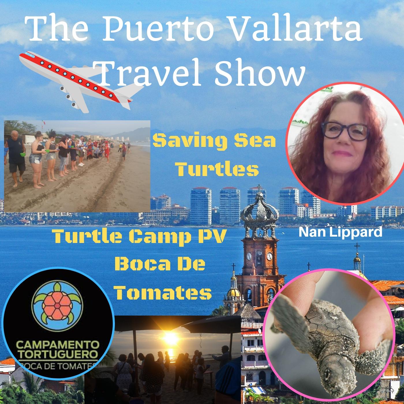 Saving Sea Turtles in Puerto Vallarta, Turtle Camp at Boca de Tomates