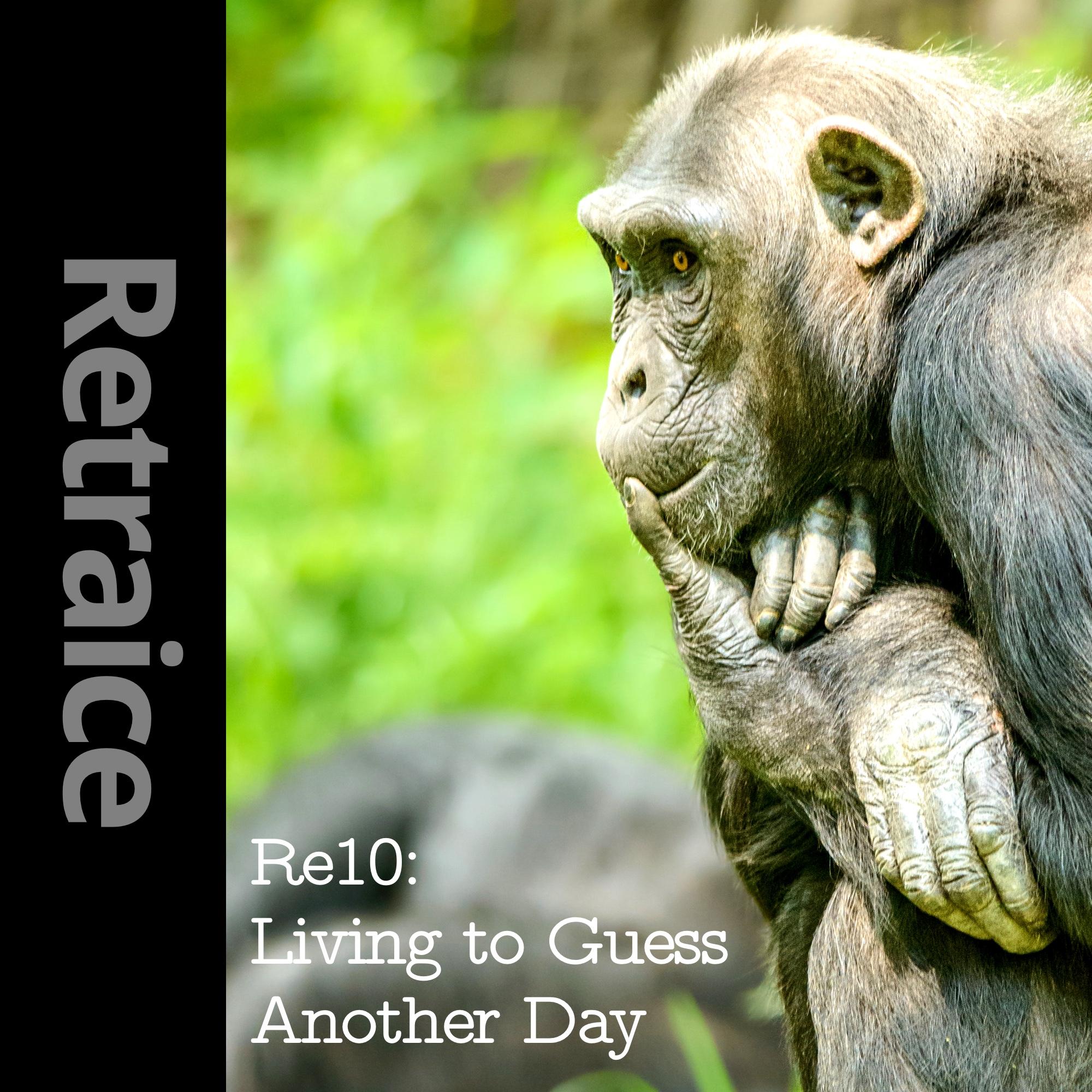 Re10: Living to Guess Another Day