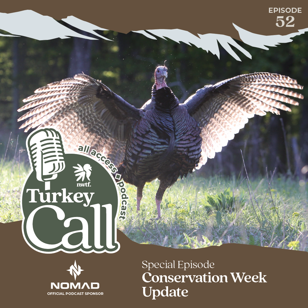 Turkey Call All Access