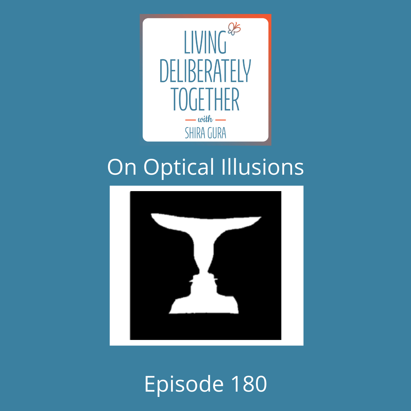 180: On Optical Illusions