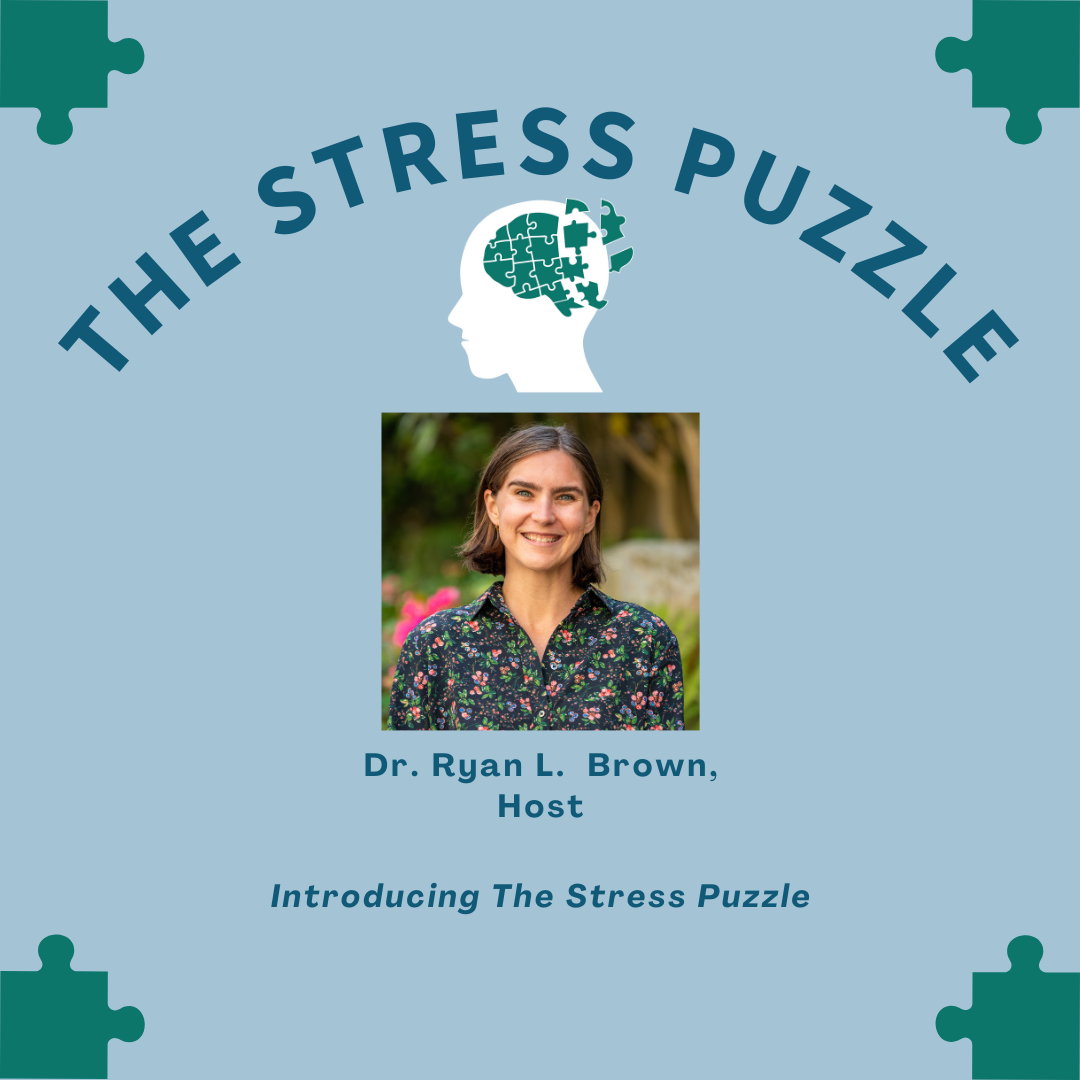 The Stress Puzzle