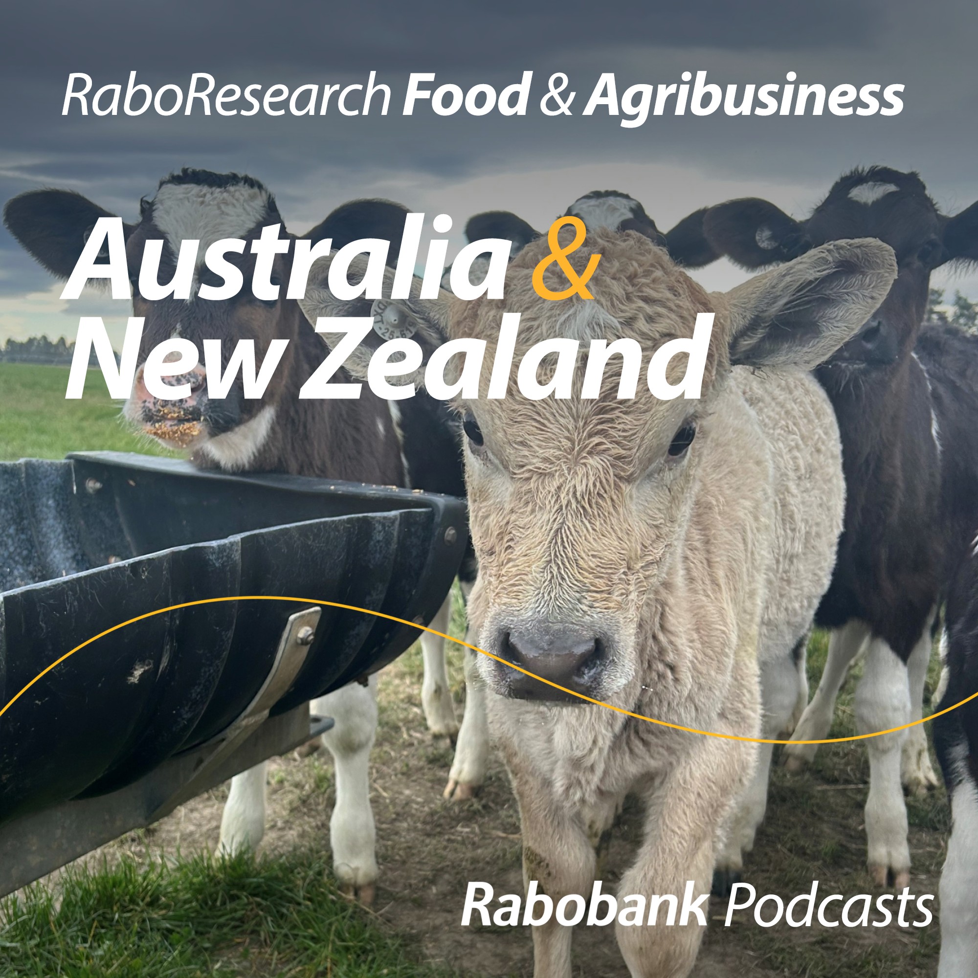 The strategic moment for dairy-beef in New Zealand