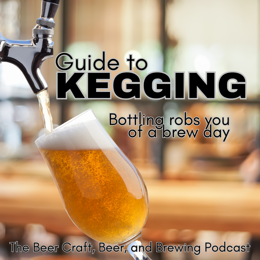 Homebrewer Guide to Kegging