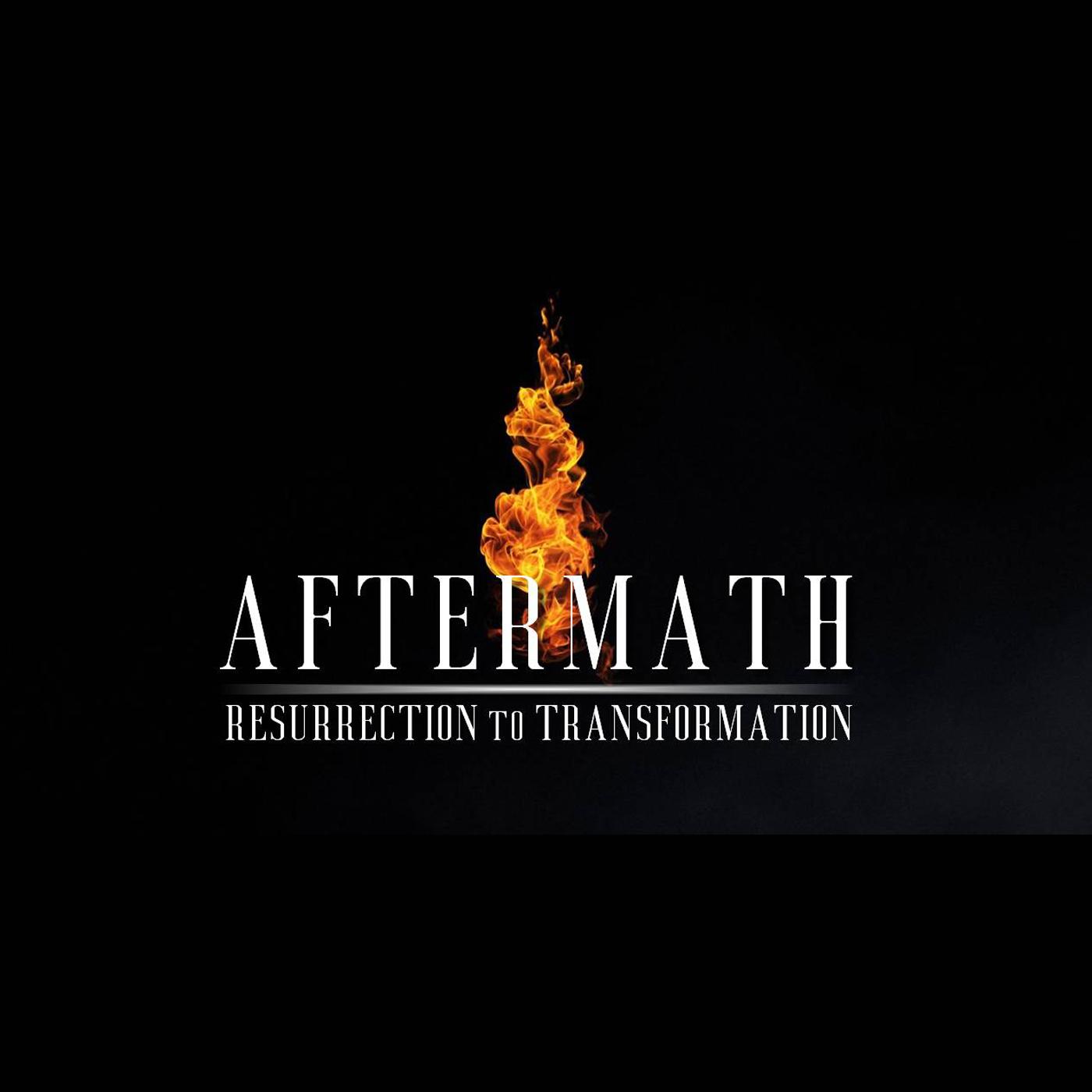 Aftermath: Accessible to Everyone