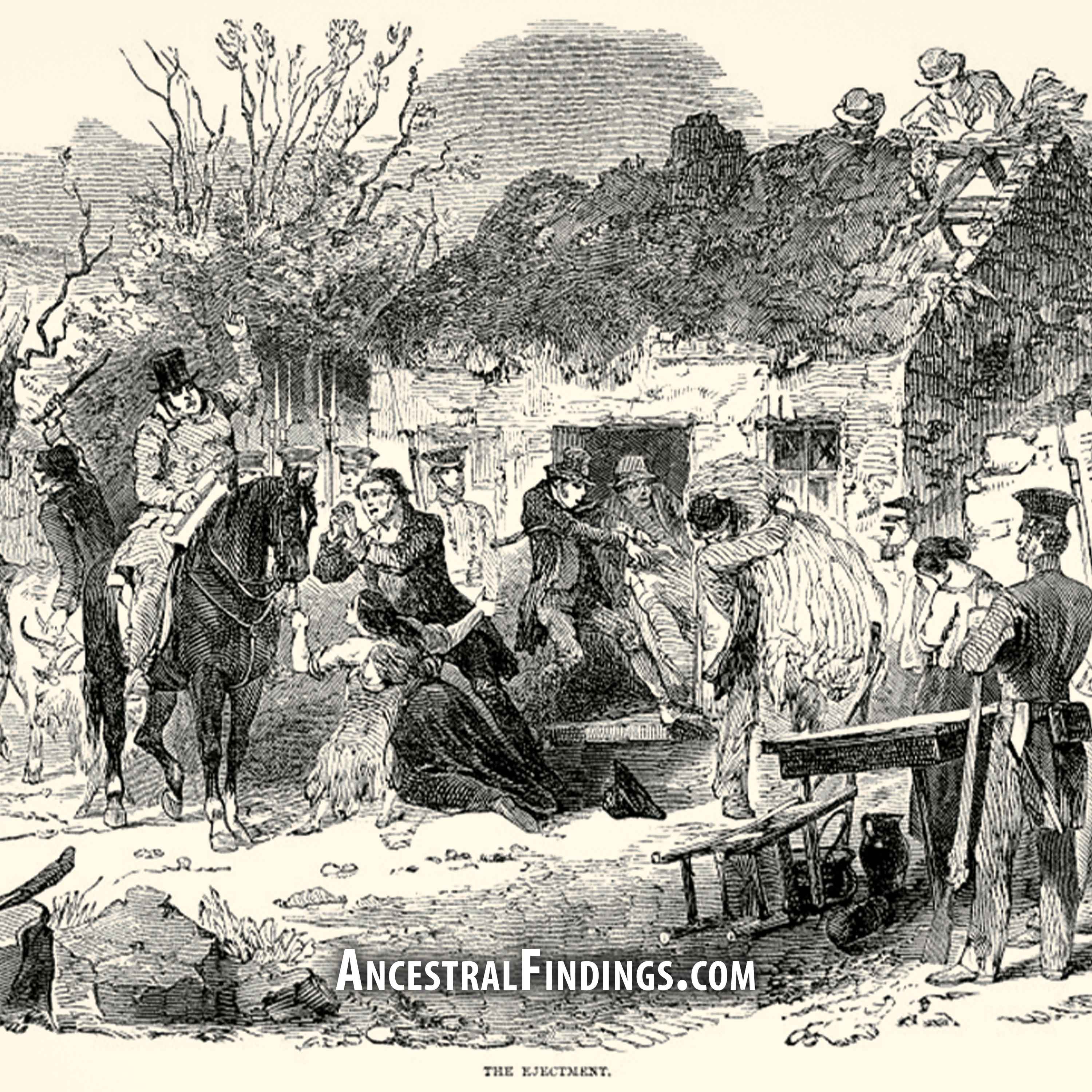 AF-1172: The Journey from Ireland | Ancestral Findings Podcast AF-1172: The Journey from Ireland | Ancestral Findings Podcast