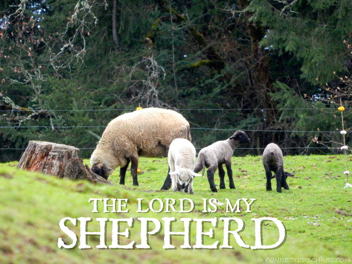 How is the Lord My Shepherd? #108 #Psalm23