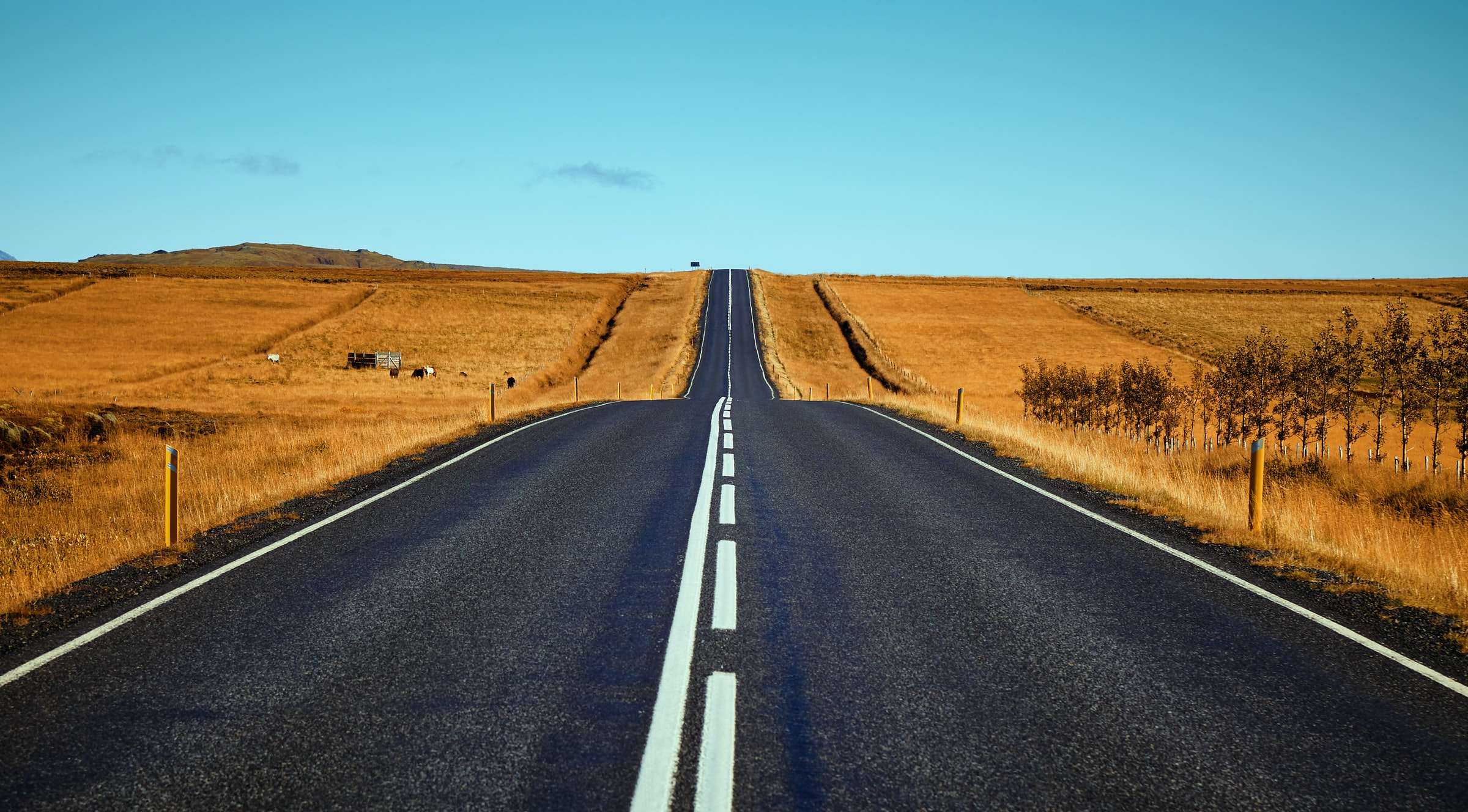 932. The Importance of Tracking and Timelines in Purpose Pursuit