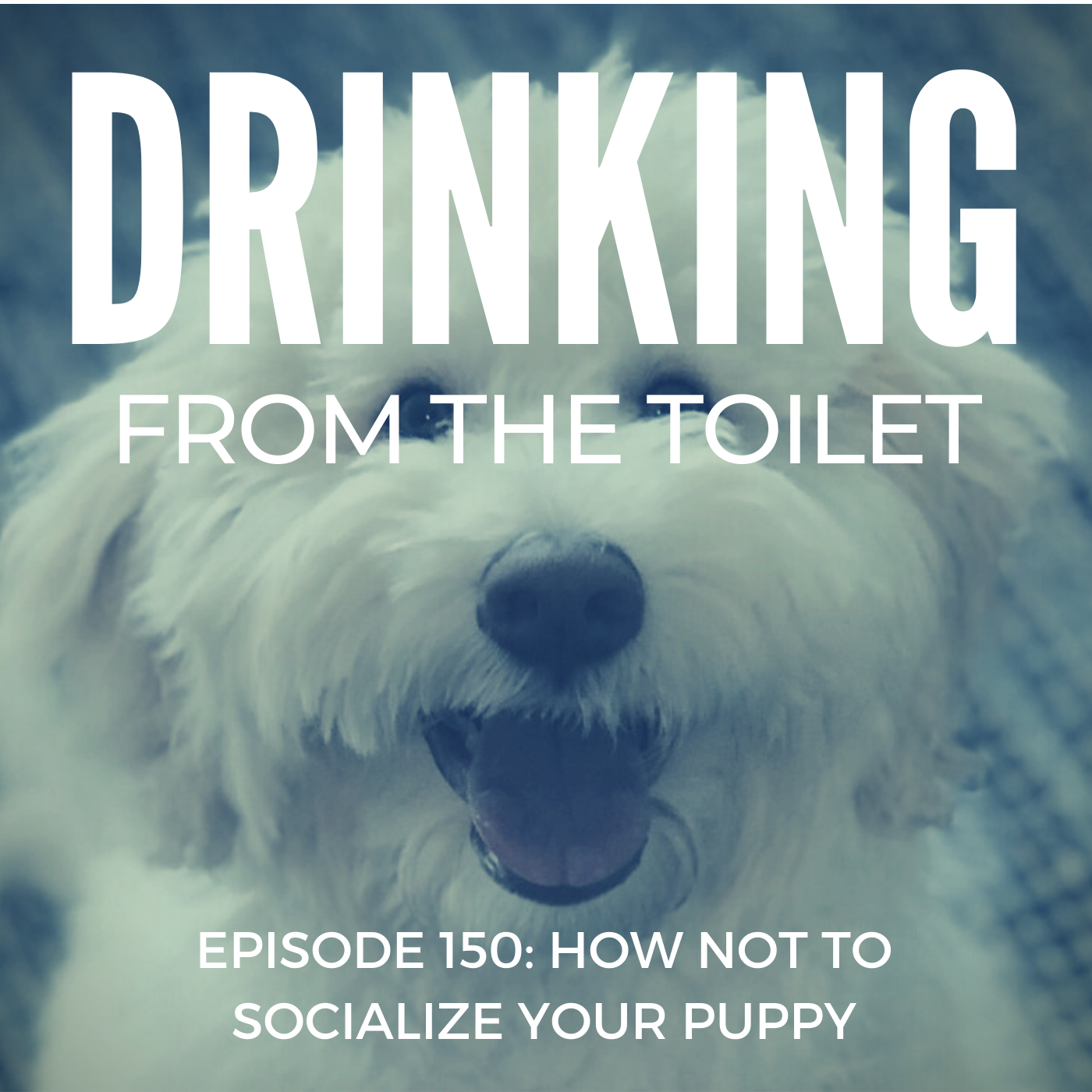 #150: How Not to Socialize Your Puppy