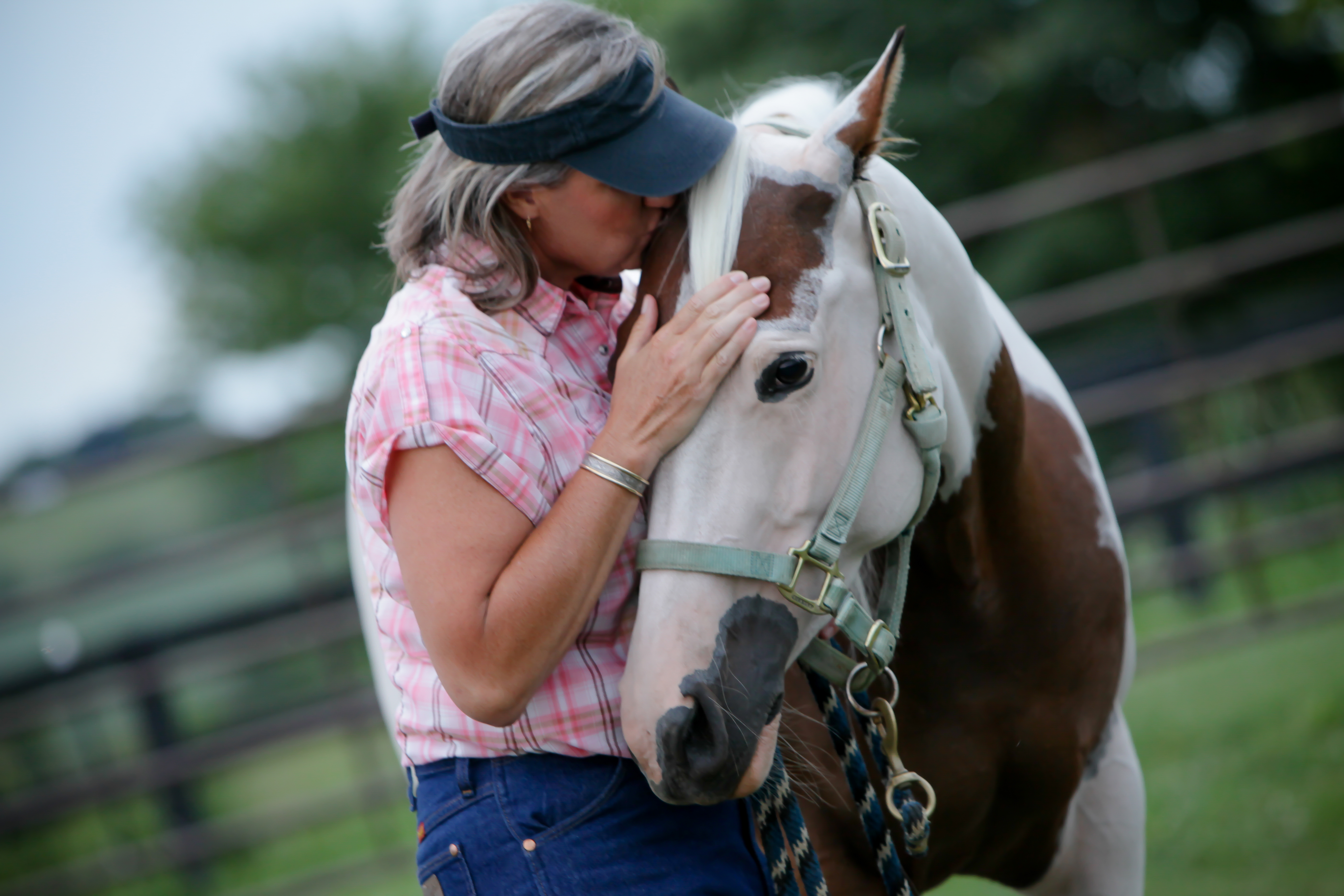Horses Helping Humans