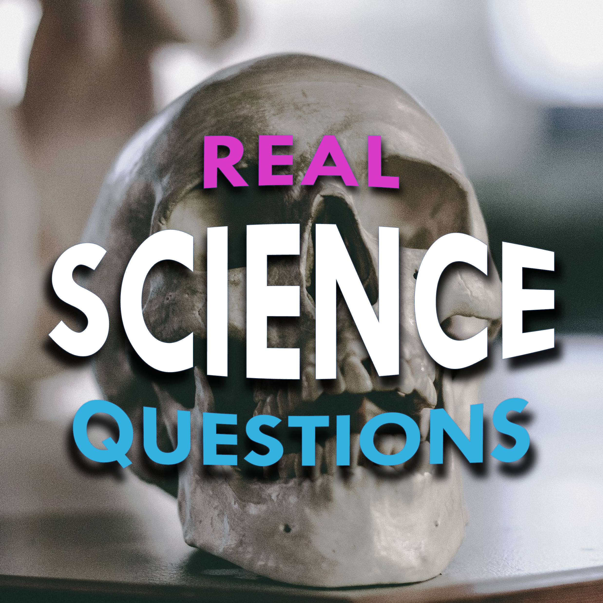 #3 Why the Face? Part 2: Teeth, Ears, Noses, Skulls