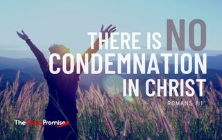 The Daily Promise