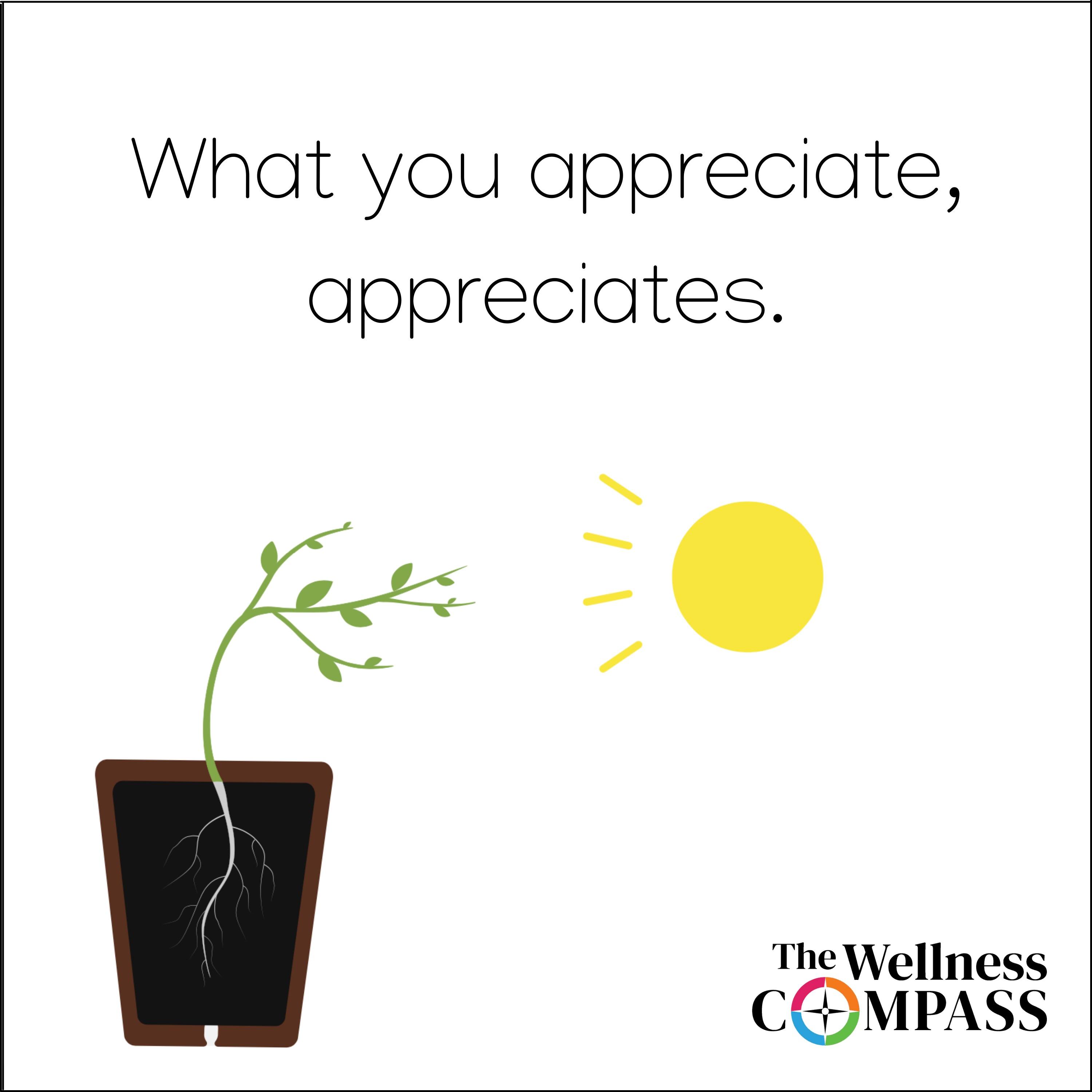 The Wellness Compass Podcast