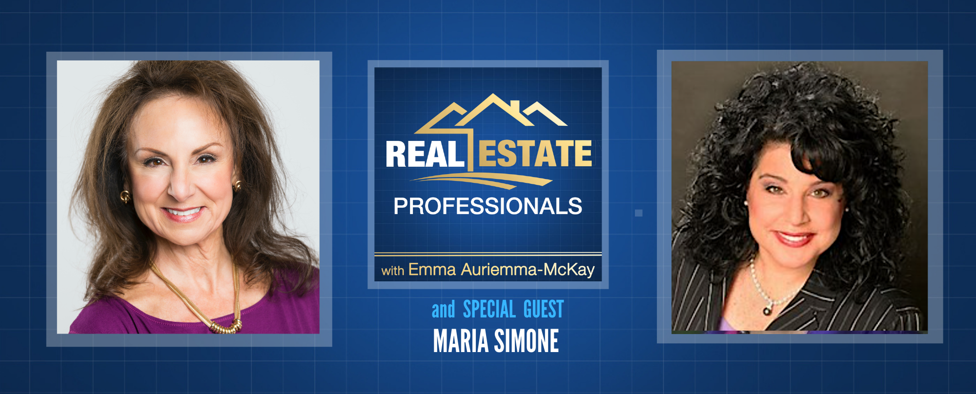 Real Estate Professionals - Property Sales Tactics for Realtors