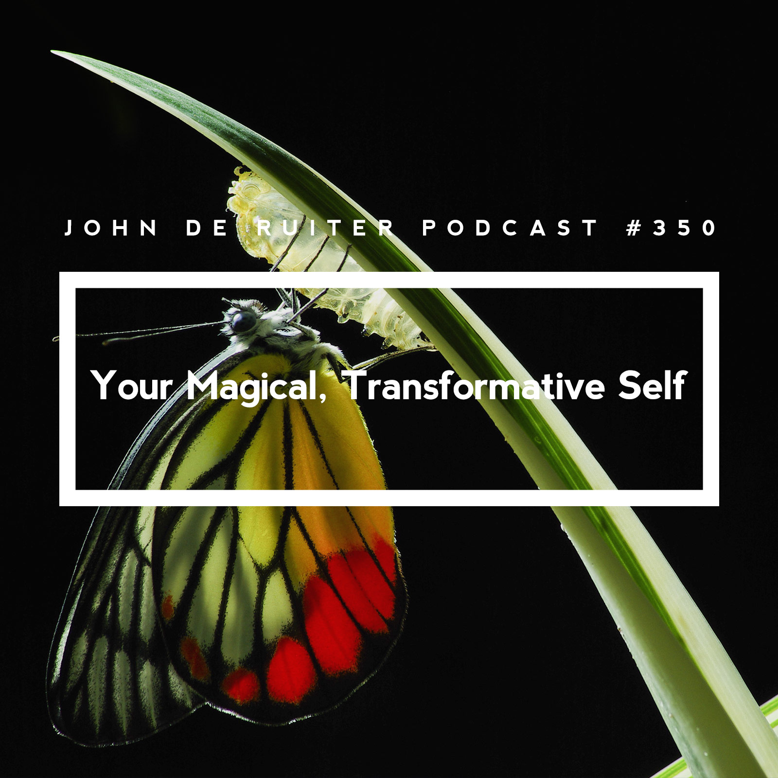 JdR Podcast 350 - Your Magical, Transformative Self