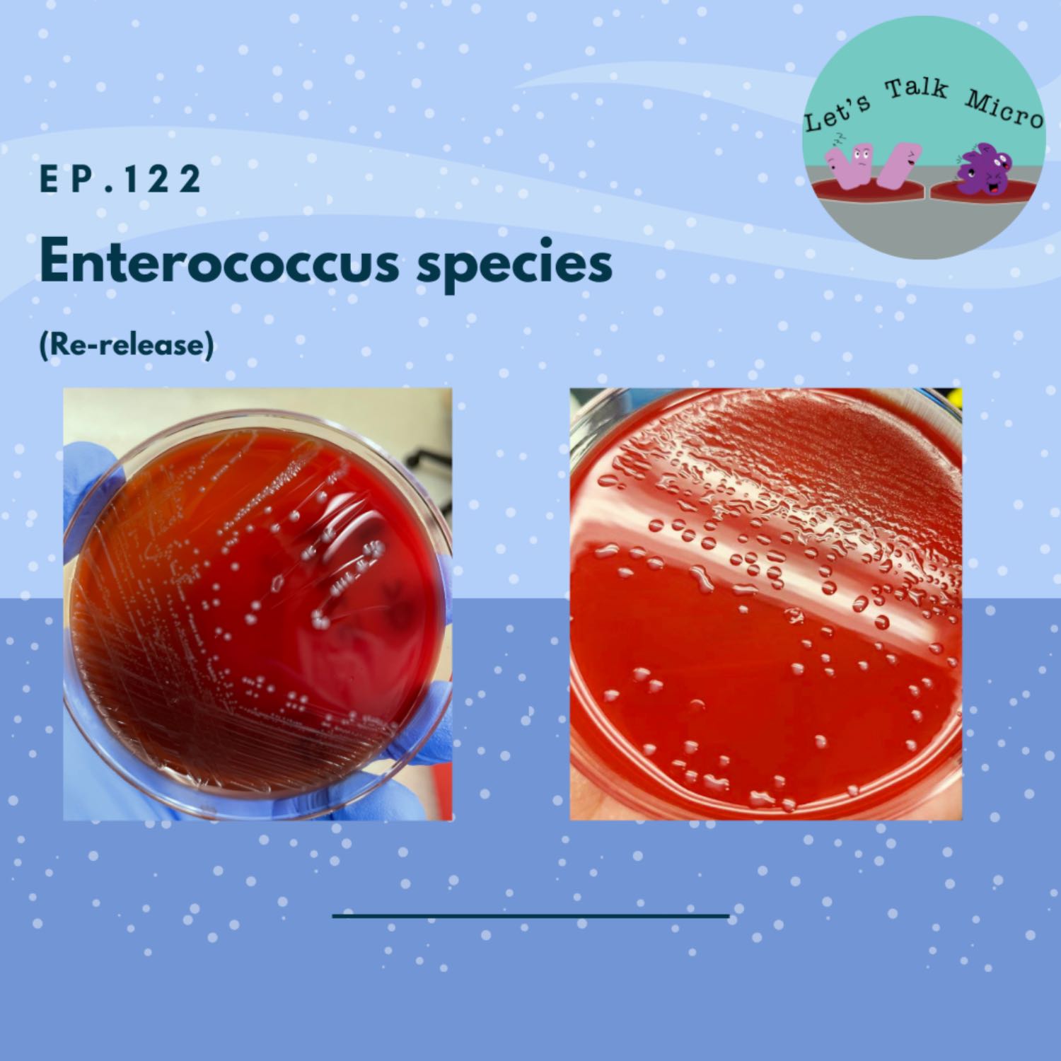 122: Enterococcus species (re-release)