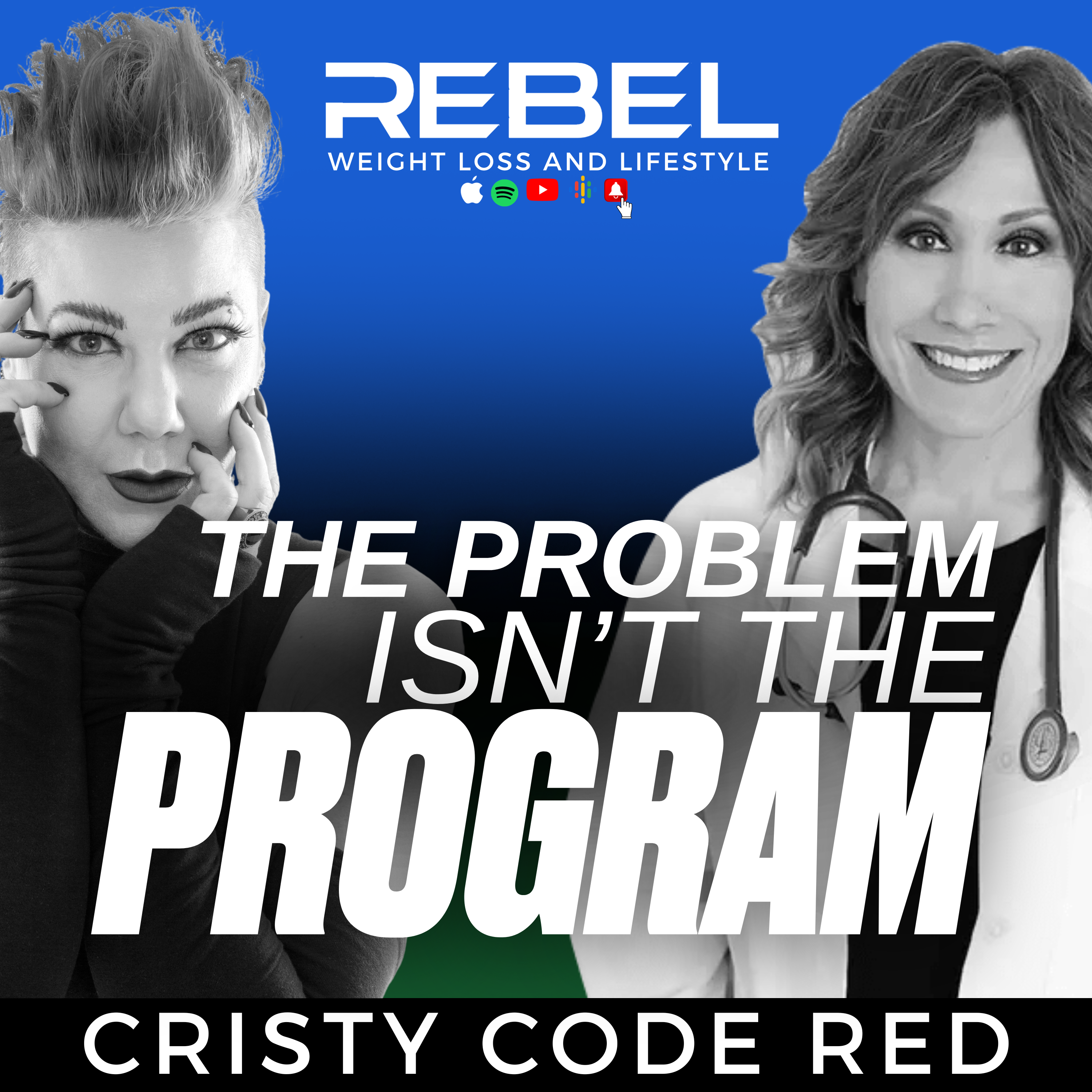 THE PROBLEM ISN'T THE PROGRAM