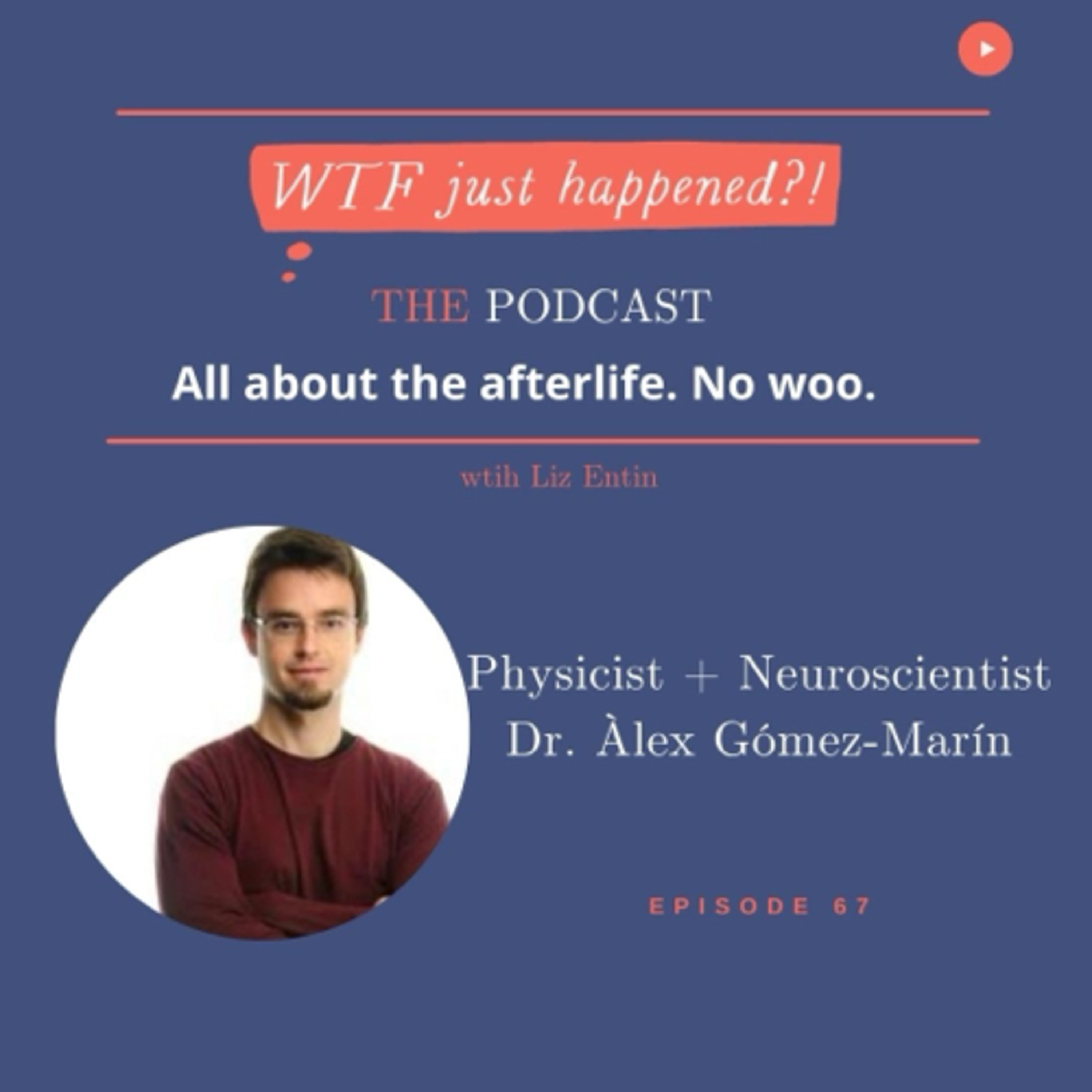 WTF Just Happened?!: All about the afterlife. No woo.